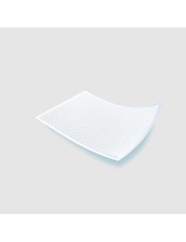 Alèse imperméable de GuardedSleep | Drap et protège-Matelas lavables Haut  de Gamme pour Adultes et Enfants souffrant d’Incontinence | Taille Extra