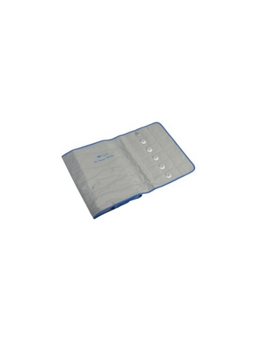 Ceinture Premium 6 Winelec SISSEL