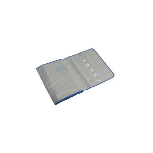 Ceinture Premium 6 Winelec SISSEL