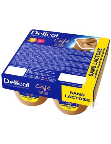 Delical Crème Dessert HP HC sans Lactose Chocolat sur Cap Vital Réu