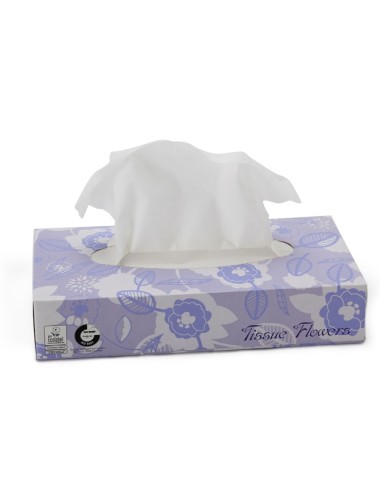 Boite de 100 mouchoirs blancs 21x20 cm 2 plis CELTEX