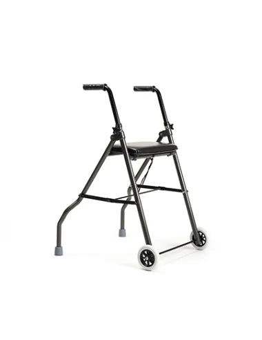 Rollator deux roues Twin Light Léger Gris carbone Vermeiren