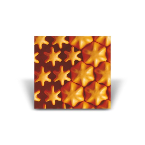 Coussin POLYAIR 100 P302C version BI-compartiments SYST'AM Coussin POLYAIR 100 P302C version BI-compartiments SYST'AM